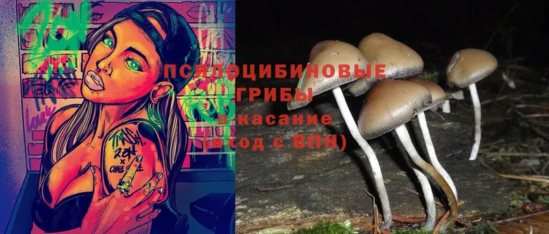 Псилоцибиновые грибы MAGIC MUSHROOMS  Кемь 